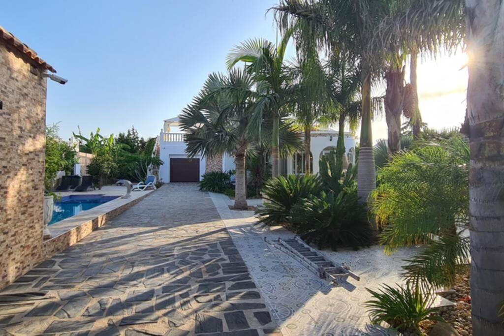 Tropical Paradise Villa In Torrevieja Buitenkant foto