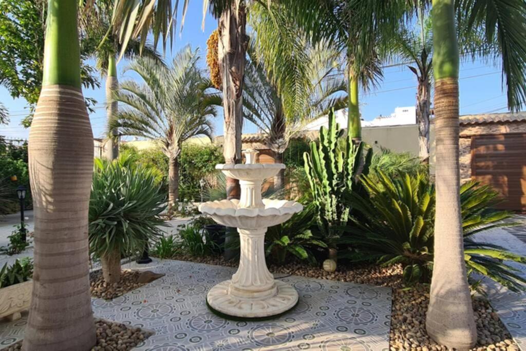Tropical Paradise Villa In Torrevieja Buitenkant foto